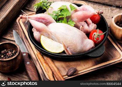 Fresh raw quail on a kitchen board and ingredients.Quail meat. Fresh raw meat quails