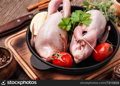 Fresh raw quail on kitchen board in iron cast pan.Quail meat. Raw meat quails