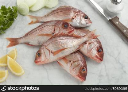 Fresh raw small red snappers on the table