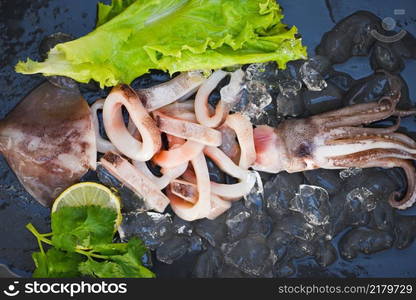 Fresh raw squid with lettuce vegetable salad seafood coriander lemon on black plate background, squid rings on ice