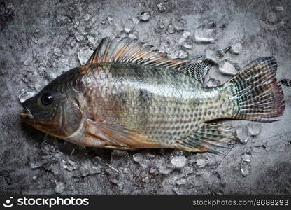 Fresh raw tilapia fish from the tilapia farm, Tilapia with ice on dark background - top view