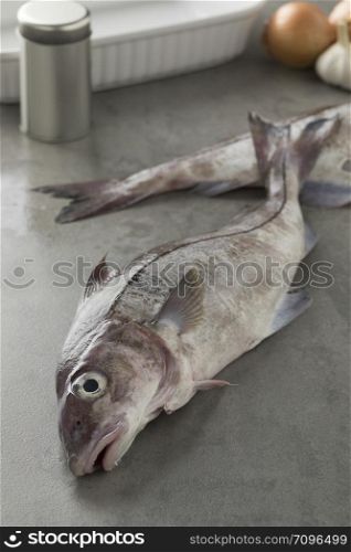 Fresh raw whole haddock fish in the kitchen for cooking