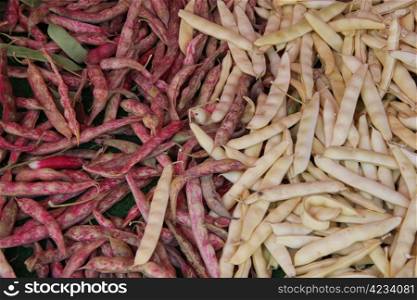 Fresh red and white beans at a French market stall