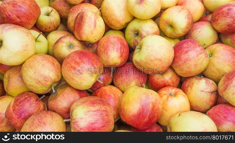 fresh red and yellow apples. Group of apples