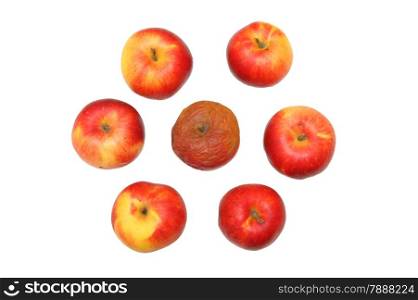 Fresh red apple and rotten apple, isolated on white background