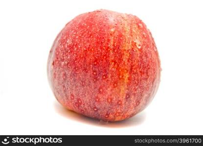 fresh red apple on white
