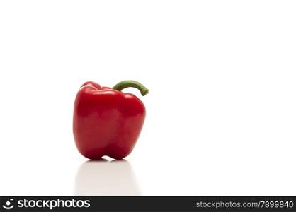 Fresh red bell pepper or capsicum. Fresh whole red bell pepper or capsicum on a white background with reflection viewed from the side with copyspace