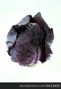 Fresh red cabbage vegetable on white background