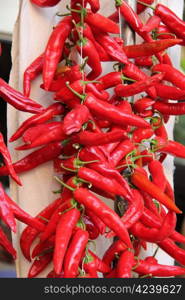 Fresh red chili peppers at a market in France