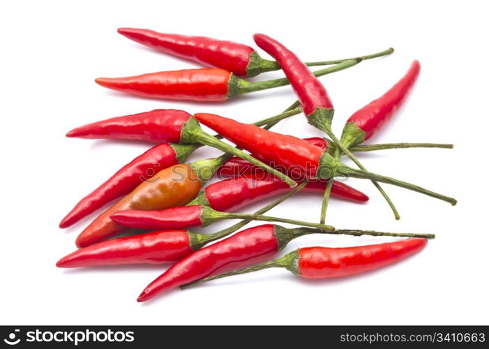 Fresh red chilli closeup on white background