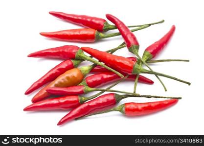 Fresh red chilli closeup on white background
