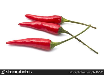 Fresh red chilli isolated on white background