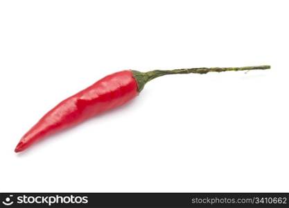 Fresh red chilli isolated on white background