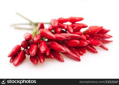 Fresh Red Chilli Peppers on White Background