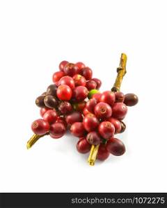 Fresh red coffee beans on branch isolated on white background