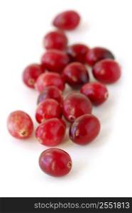 Fresh red cranberries macro on white background