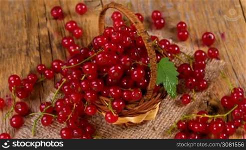 Fresh red currant berries in basket rotating on wooden table. Organic and bio food.