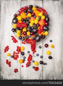 fresh red currants, plums, blackberries,cherry, blueberries, apricots in a basket on a white background , top view