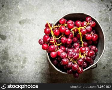 Fresh red grapes in the old pot.. Fresh red grapes