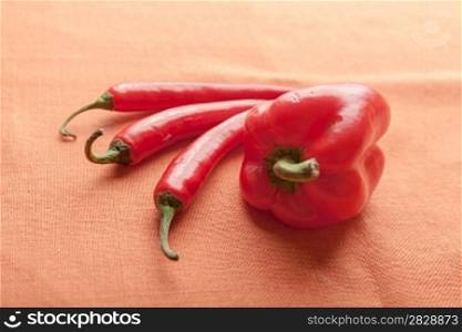 fresh red hot pepper