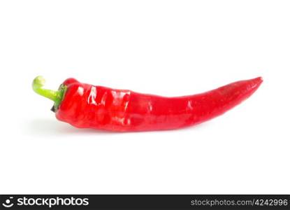 fresh red hot pepper on a white