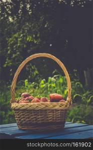 Fresh red, juicy strawberry in a woven basket on the green grass, toned photo.