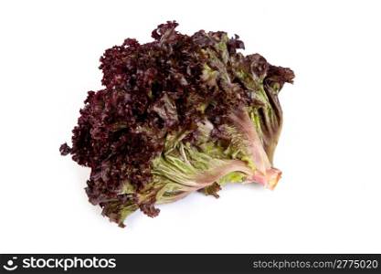Fresh red Lettuce isolated on a white background