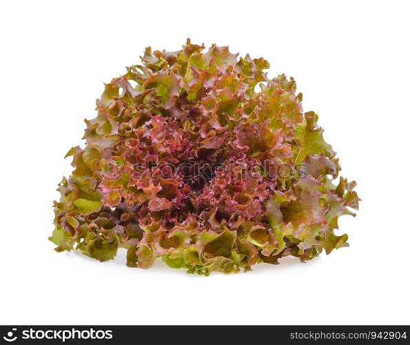 Fresh red oak lettuce isolated on white background.