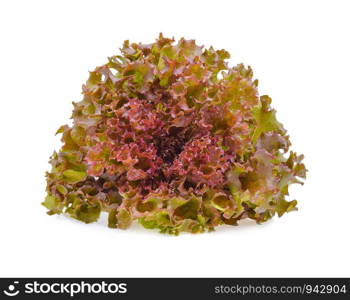 Fresh red oak lettuce isolated on white background.