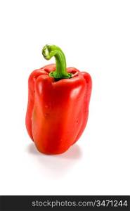 Fresh red pepper on the white background