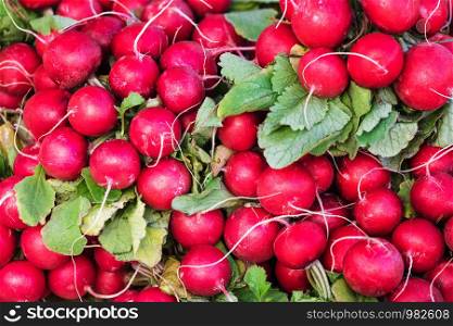 fresh red radish with green leaves on the counter of market