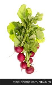 Fresh red radish with leaves isolated on white background