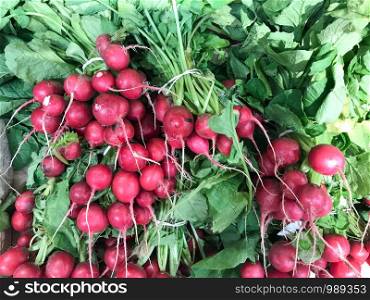 Fresh Red Radishes Exposed For Sale In Supermarket