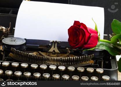 fresh red rose on vintage typewriter with blank page. red rose on typewriter