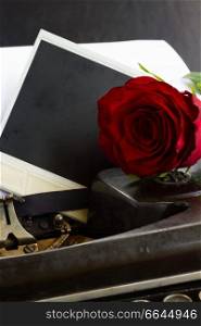 fresh red rose on vintage typewriter with instant phoro. red rose on typewriter