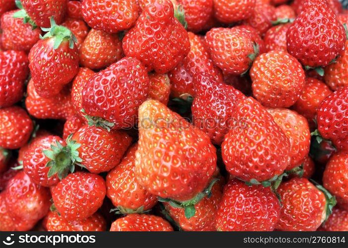 Fresh red strawberry fruits in a pile