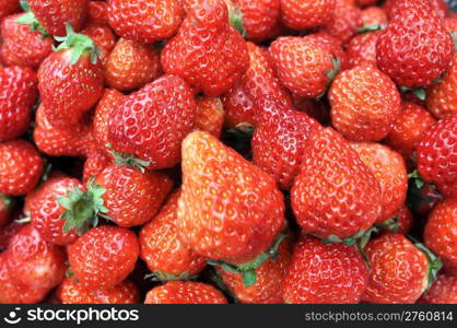 Fresh red strawberry fruits in a pile