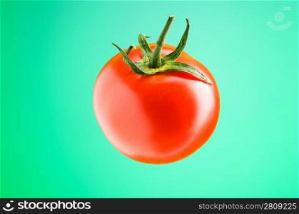 Fresh red tomato against the gradient background