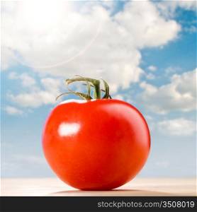 fresh red tomato on table against sunny skies
