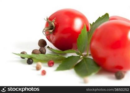 fresh red tomatoes and greens on white background