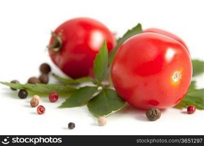 fresh red tomatoes and spices on white background