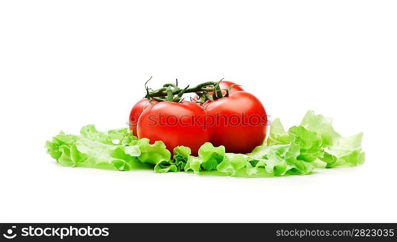 Fresh red tomatoes on lettuce leaves isolated on a white background