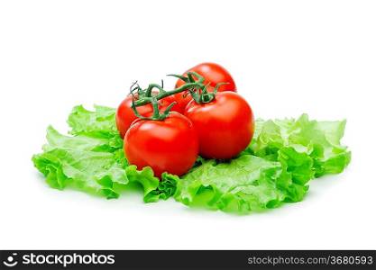 Fresh red tomatoes on lettuce leaves isolated on the white background