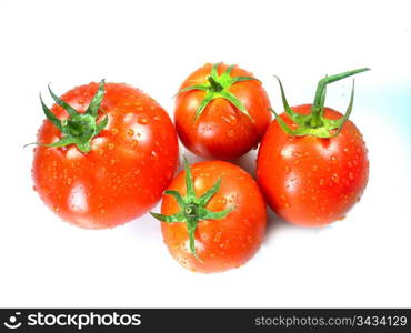 Fresh Red tomatoes on white background . Fresh Red tomatoes