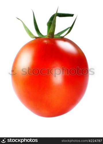 Fresh Red tomatoes on white background . Fresh Red tomatoes