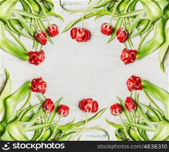 Fresh red tulips , flowers frame on white wooden background, top view
