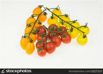fresh red, yellow and orange cherry tomatoes on a white background. wet tomatoes. tomatoes on a white background