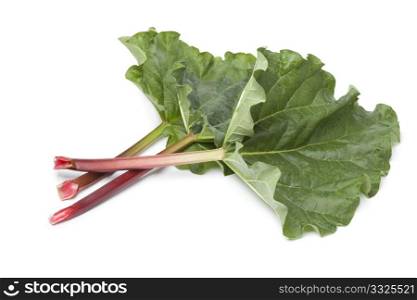 Fresh Rhubarb stalks and leaves on white background