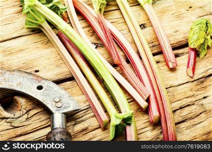 Fresh rhubarb stem on old wooden table. Rhubarb stems on wooden surface
