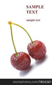 fresh ripe cherry isolated with copyspace